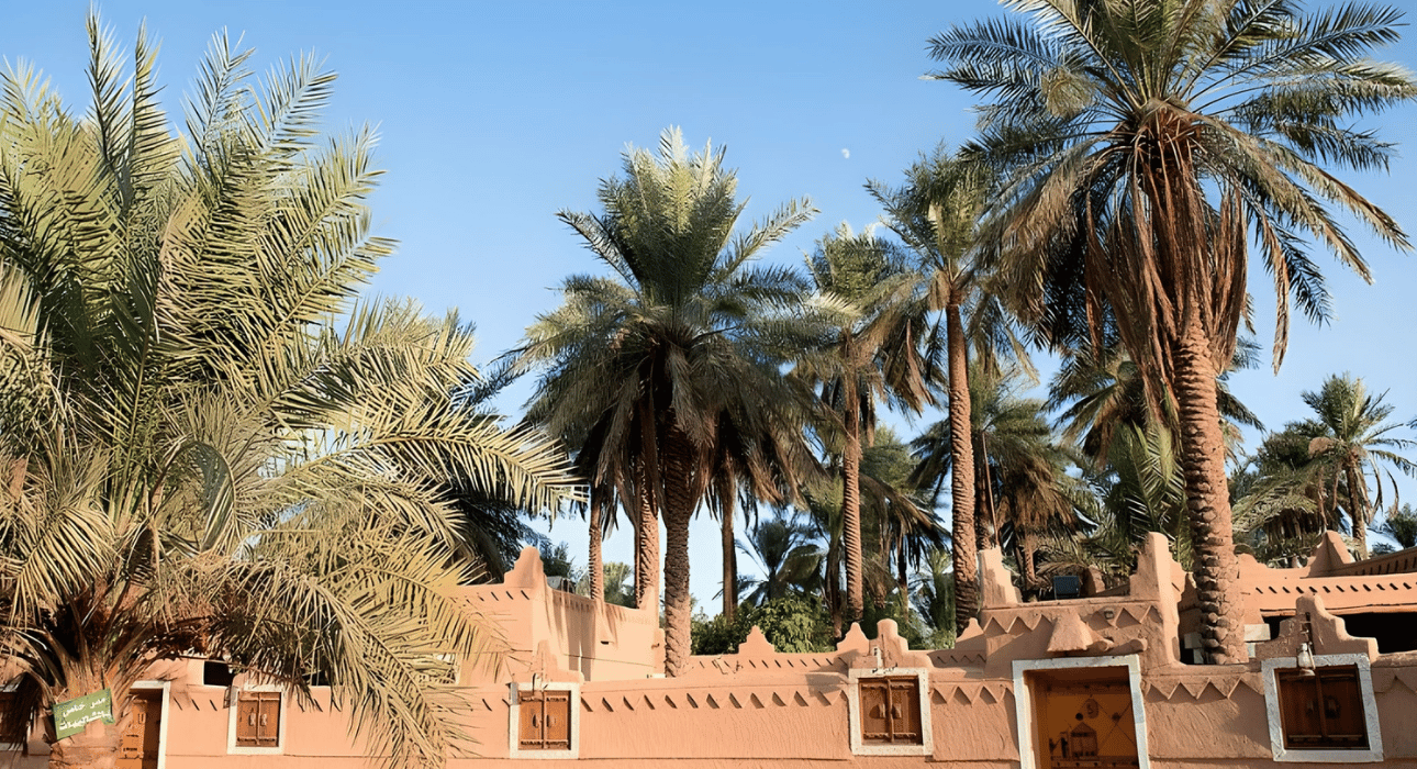 دراسة جدوى مشروع ريف في السعودية